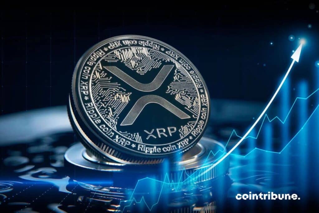 Crypto Ripple