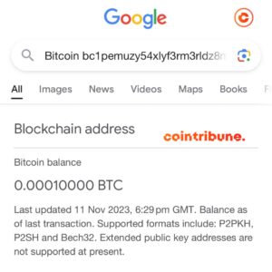 Google's display of Bitcoin balance addresses sparks debate in the crypto community! Transparency or privacy violation?