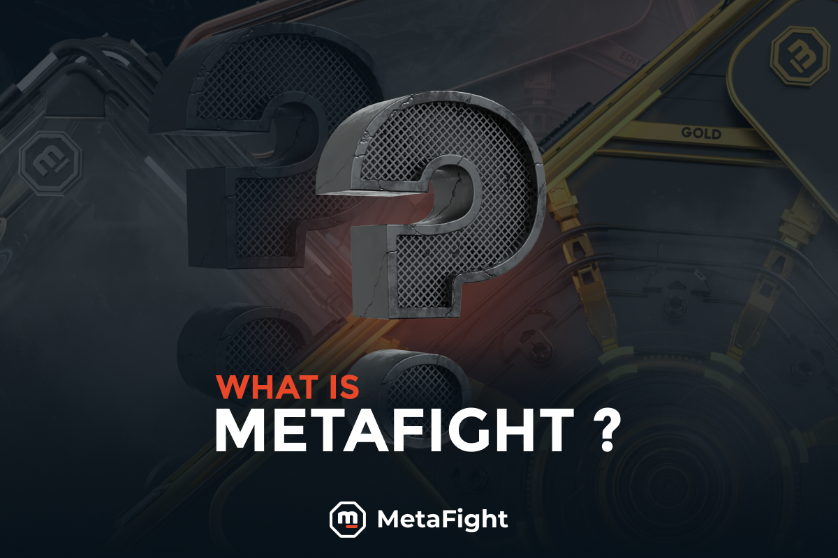 Qu’est-ce que MetaFight ?