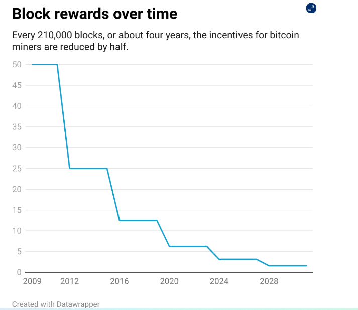 cycle, halving, bitcoin, performance