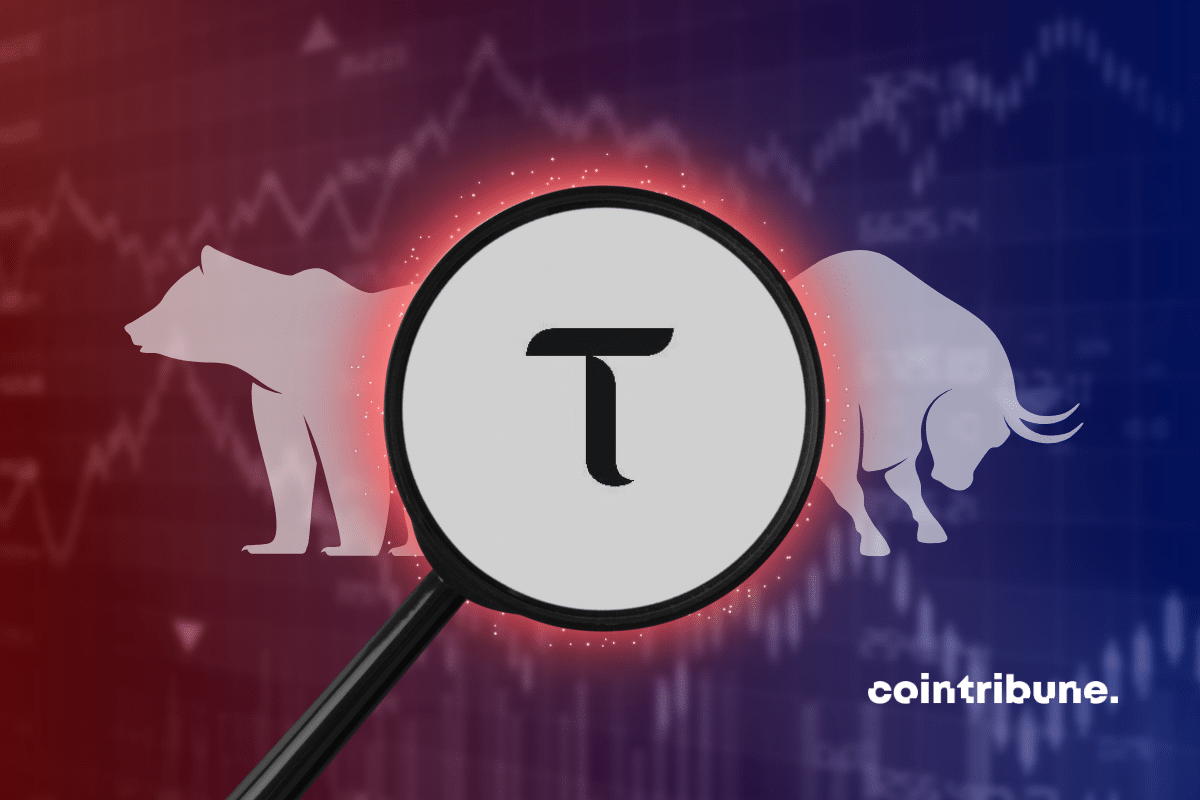 Logo TAO encadré par une loupe avec en fond un graphique en couleur ainsi qu’un taureau et un ours blanc.