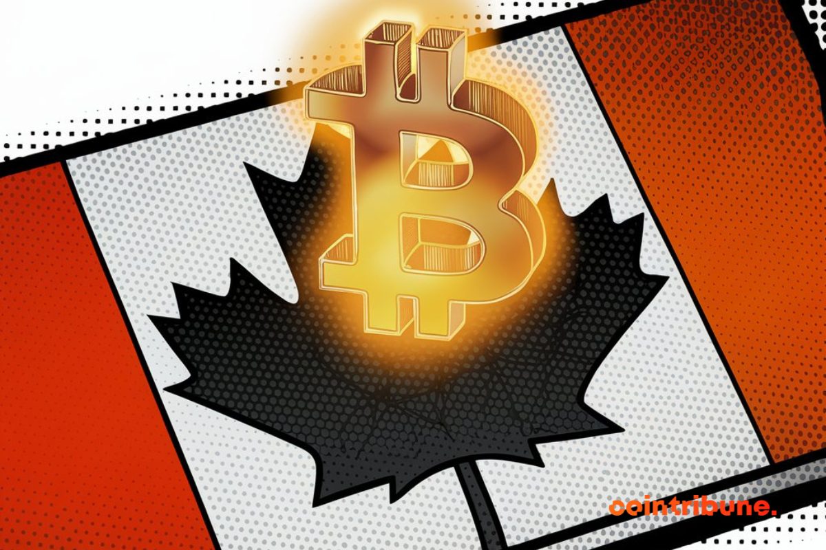 drapeau du Canada, logo du bitcoin