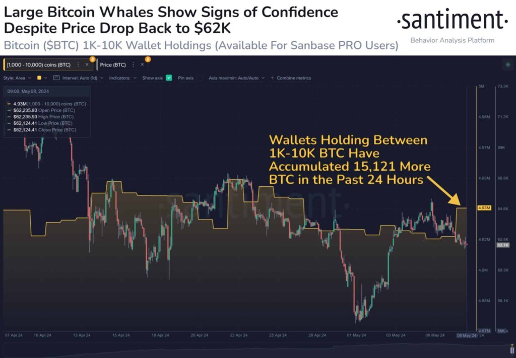 Whale accumulation