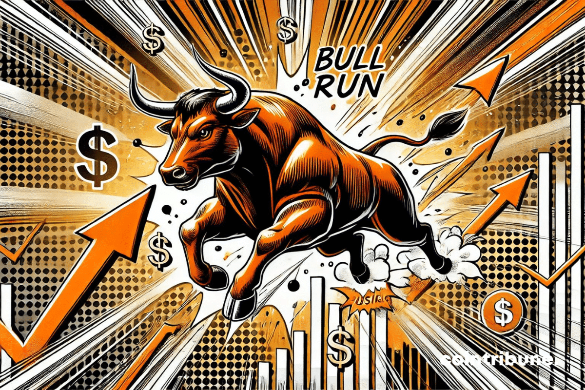 Bull Run : Période de forte hausse sur les marchés