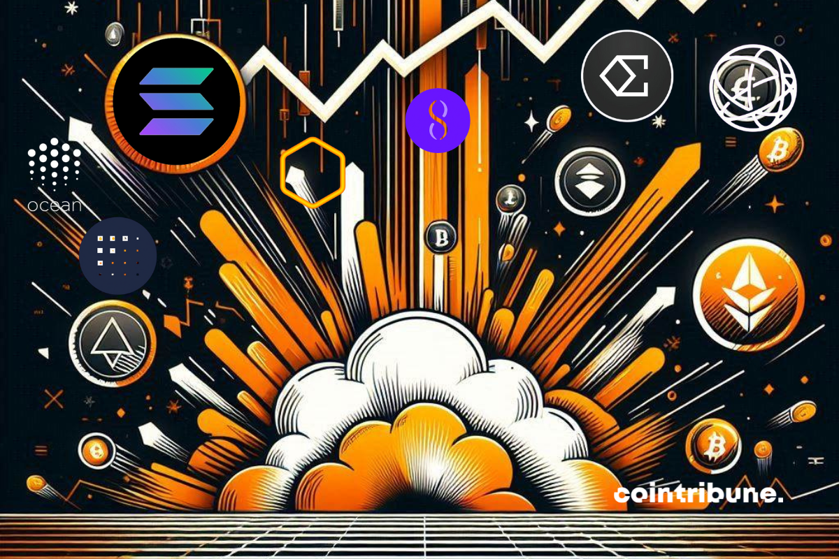 Bull run crypto