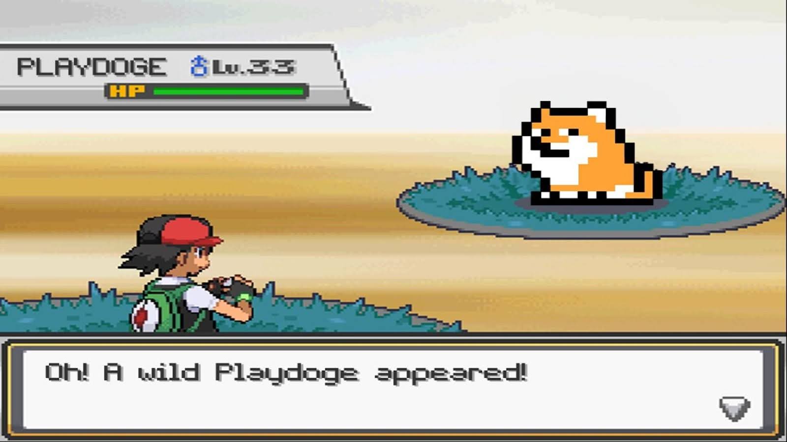 PlayDoge ICO Hits .5 Million in The First Week