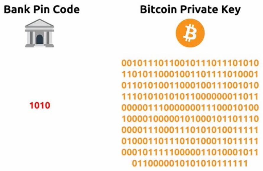 Bitcoin's Resilience in the Face of Quantum
