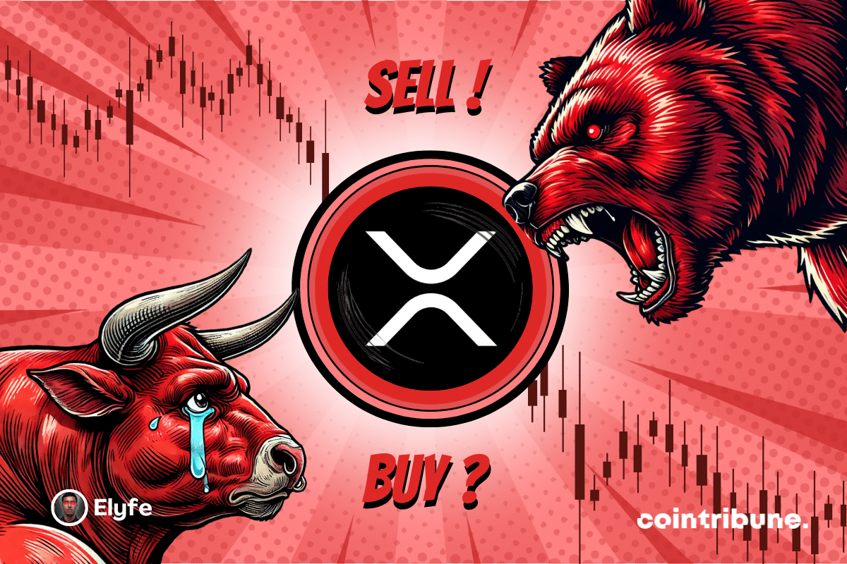 Logo XRP fond bleu ou rouge avec de parts et d’autres un ours et un taureau bleu au regard expressif. En fond, un graphique apparaît.