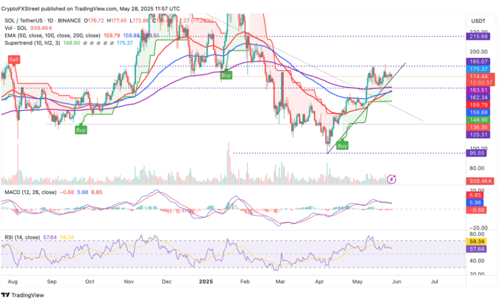 SOL/USD daily technical analysis chart. Source: CryptoFXStreet on TradingView
