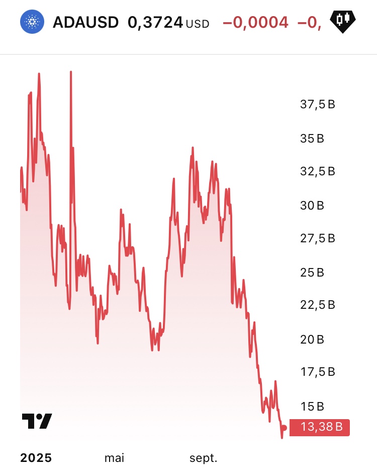 Cardano a perdu 25 milliards de dollars en 2025, soit une baisse de 64 % de sa valorisation, ramenant sa capitalisation à 14 milliards de dollars.