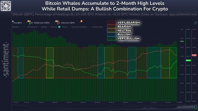 Graphique montrant l'augmentation des avoirs des portefeuilles baleines Bitcoin tandis que les portefeuilles de détail diminuent, signalé comme haussier.