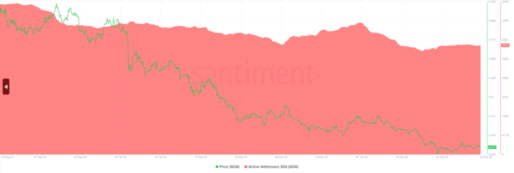 Endereços Ativos Cardano