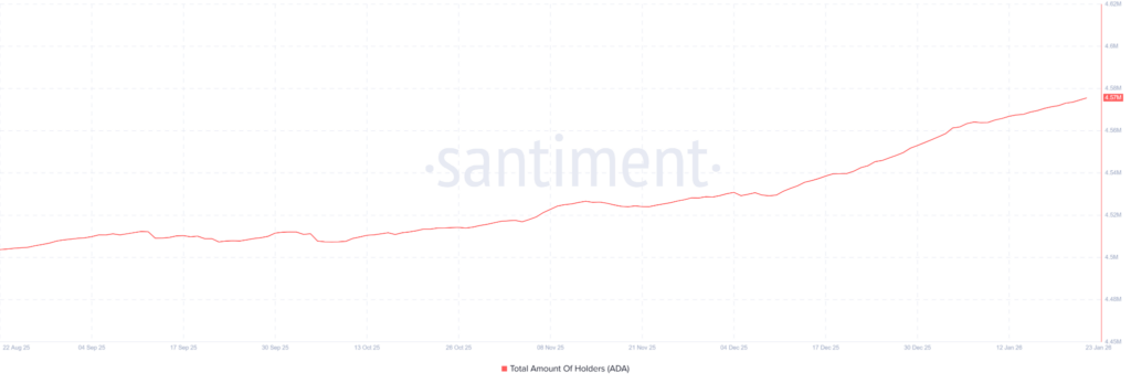 Detentores Baleia Cardano