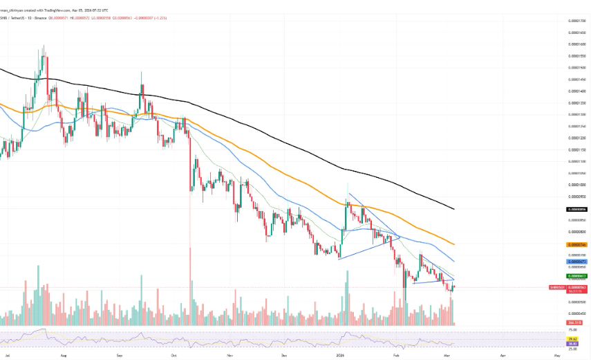 Gráfico SHIB/USDT — Fuente: TradingView