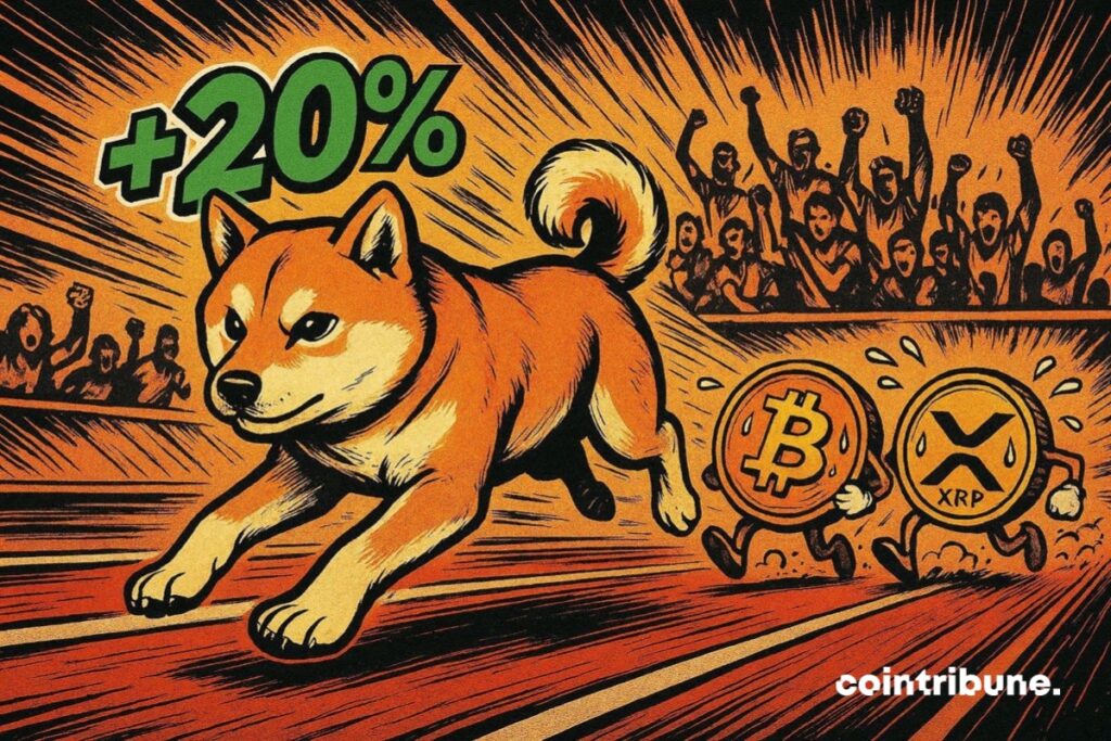 Shiba Inu qui dépasse bitcoin et XRP dans la course à l’Open Interest.