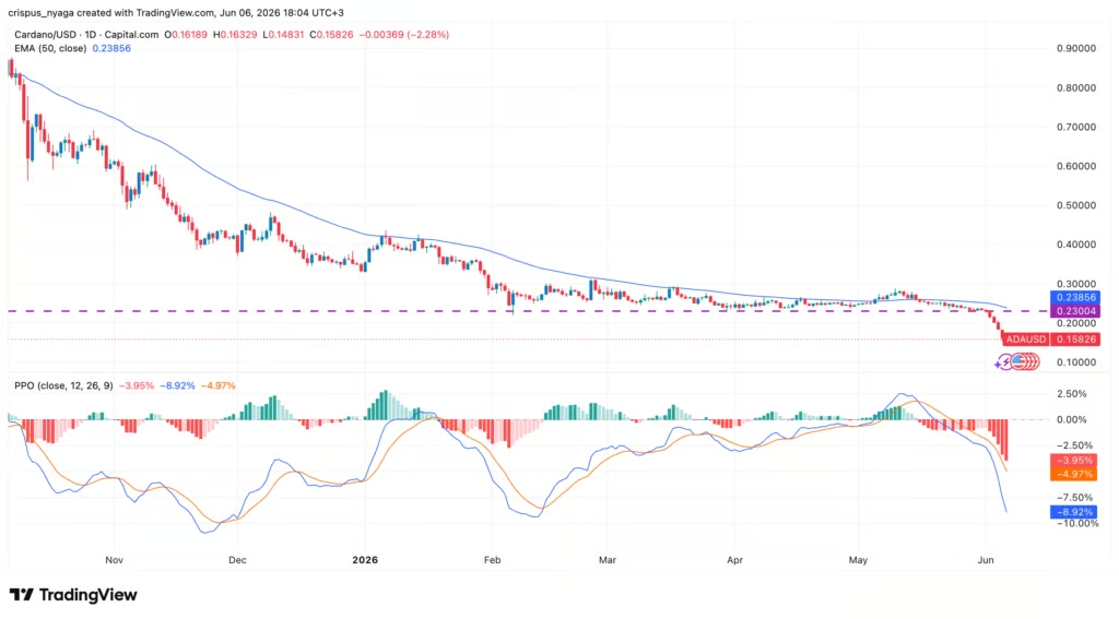 Techniquement, Cardano (ADA) a cassé le support clé à 0,23 dollar (niveau du pattern « tête et épaules ») et se négocie sous sa moyenne mobile exponentielle (EMA 50 semaines), confirmant ainsi une tendance baissière. Par ailleurs, les indicateurs comme le PPO (Percentage Price Oscillator) restent négatifs, avec une cible à 0,10 dollar.