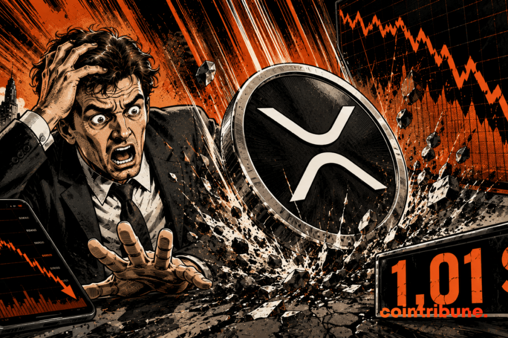 Un investisseur crypto observe avec désarroi la chute du XRP.