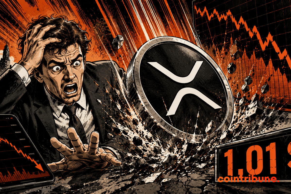 Un investisseur crypto observe avec désarroi la chute du XRP.