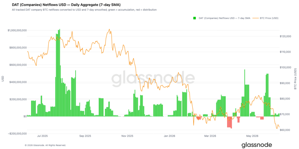 Graphique de Glassnode comparant les flux nets quotidiens des entreprises détenant du Bitcoin comme actif de trésorerie et l’évolution du prix du BTC. Les barres vertes et rouges représentent respectivement les phases d’accumulation et de distribution, tandis que la courbe du Bitcoin montre un recul progressif vers la zone des 60 000 dollars.