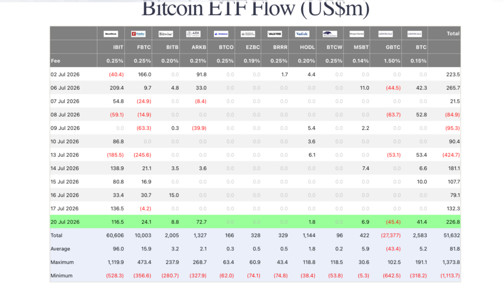 bitcoin etf flow