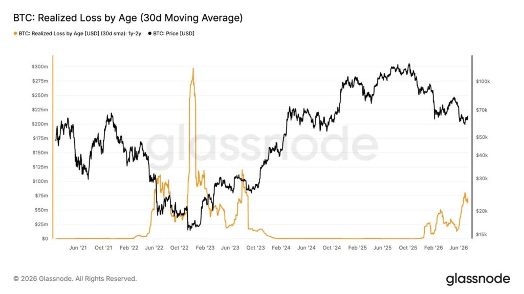 Glassnode chart comparing Bitcoin price (black curve) with realized losses over 30 days of investors holding their BTC between one and two years (orange curve), from 2021 to 2026. Losses peak during market correction phases, with a new increase seen in 2026 as Bitcoin retreats after its peak.