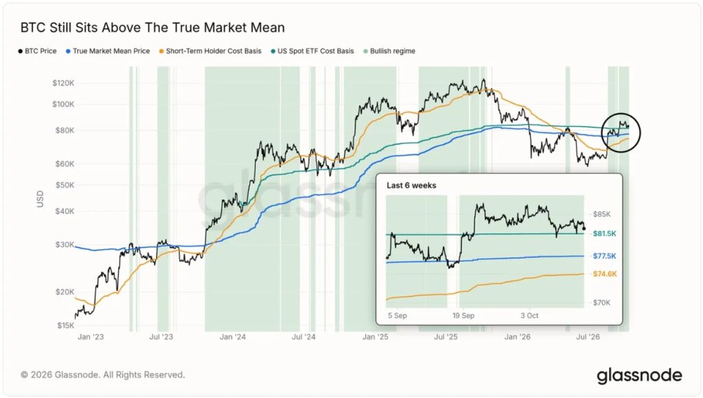 Glassnode chart showing Bitcoin price above the real market average breakeven price, with spot ETF breakeven at $81,500, market average price at $77,500, and short-term holders threshold at $74,600.