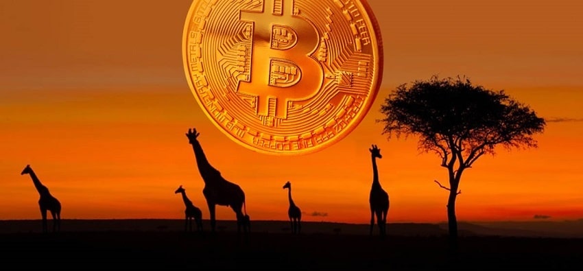 illustration bitcoin en afrique