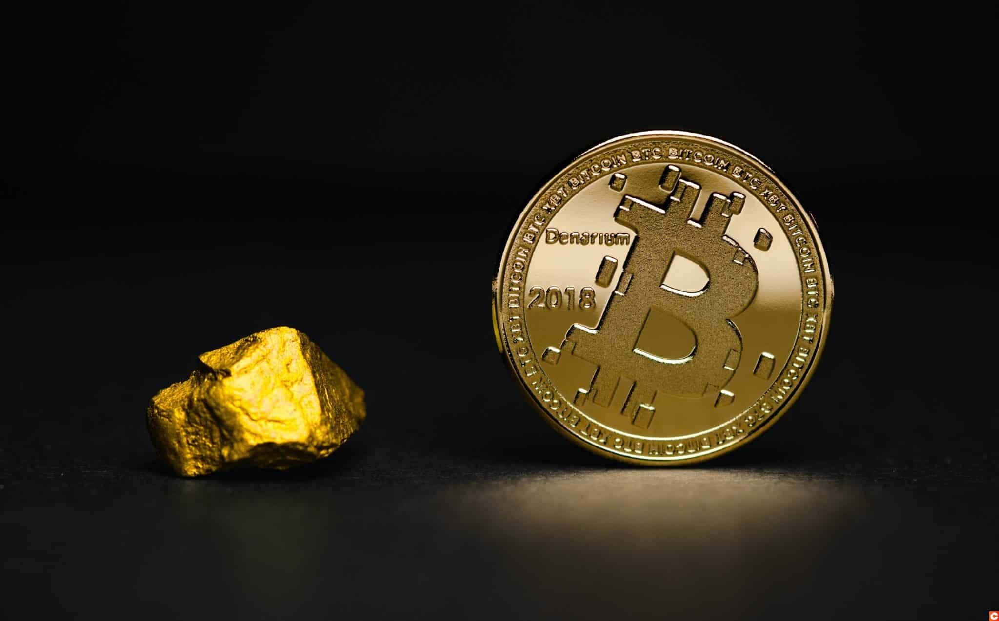 oax btc tradingview tony rivas bitcoin world