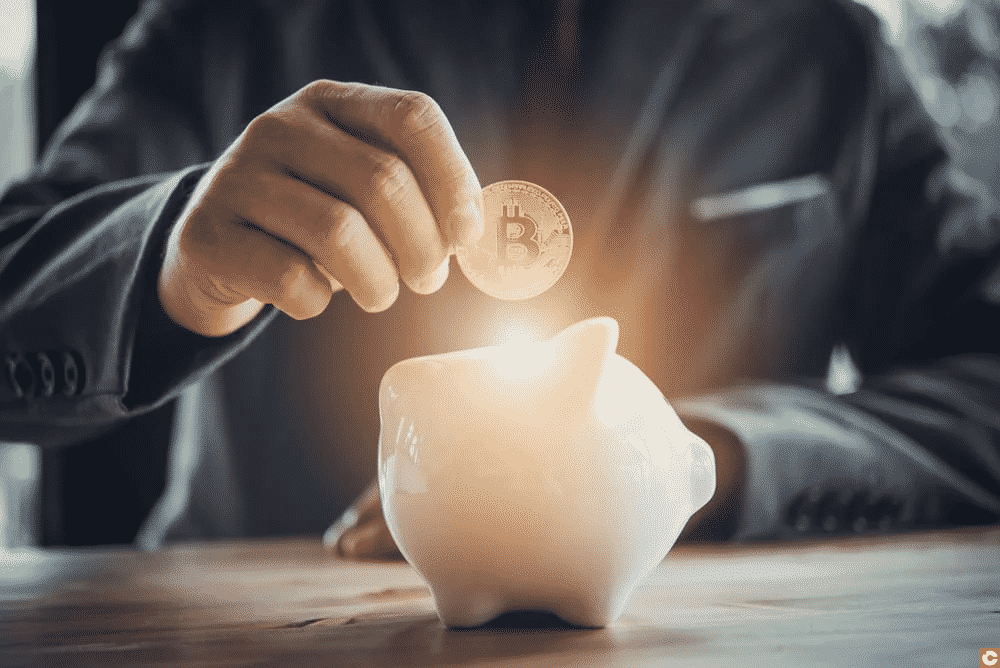 bitcoin invest 100