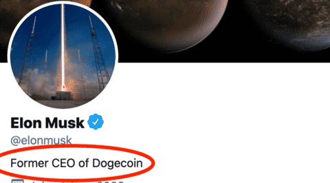 former ceo of dogecoin