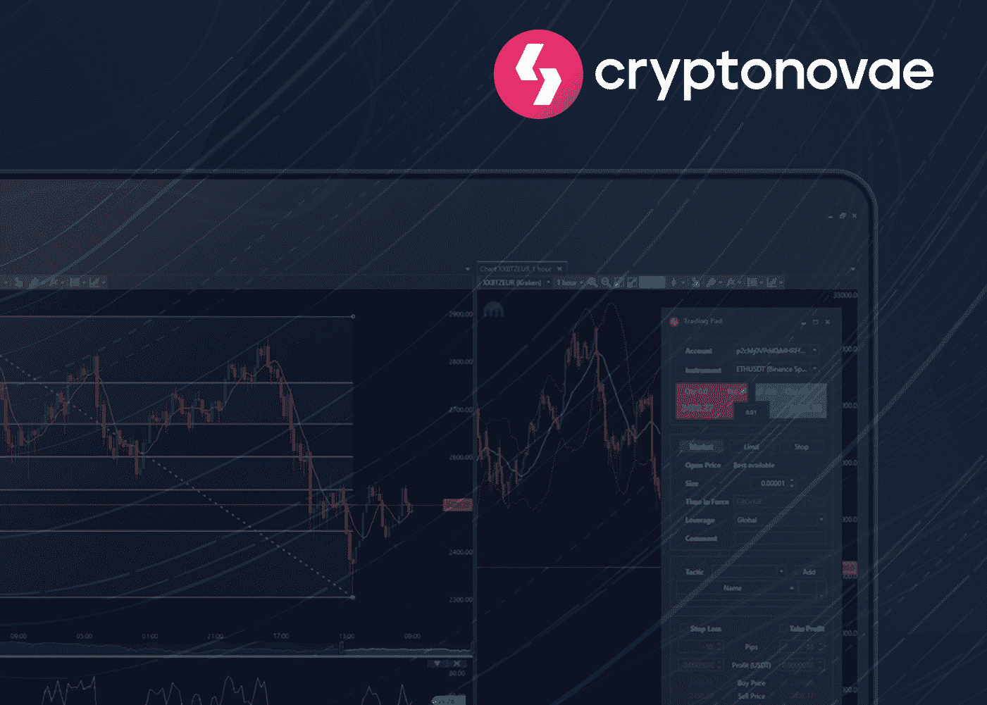 cryptonovae beta