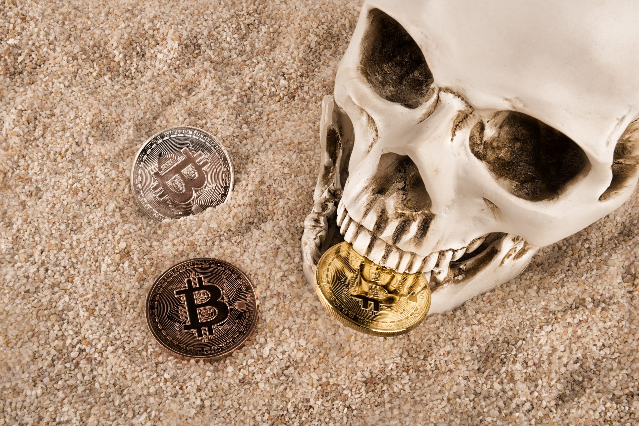 Close up on skull biting bitcoin over sand background. Concept of investment and fluctuation of bitcoin and cryptocurrency.