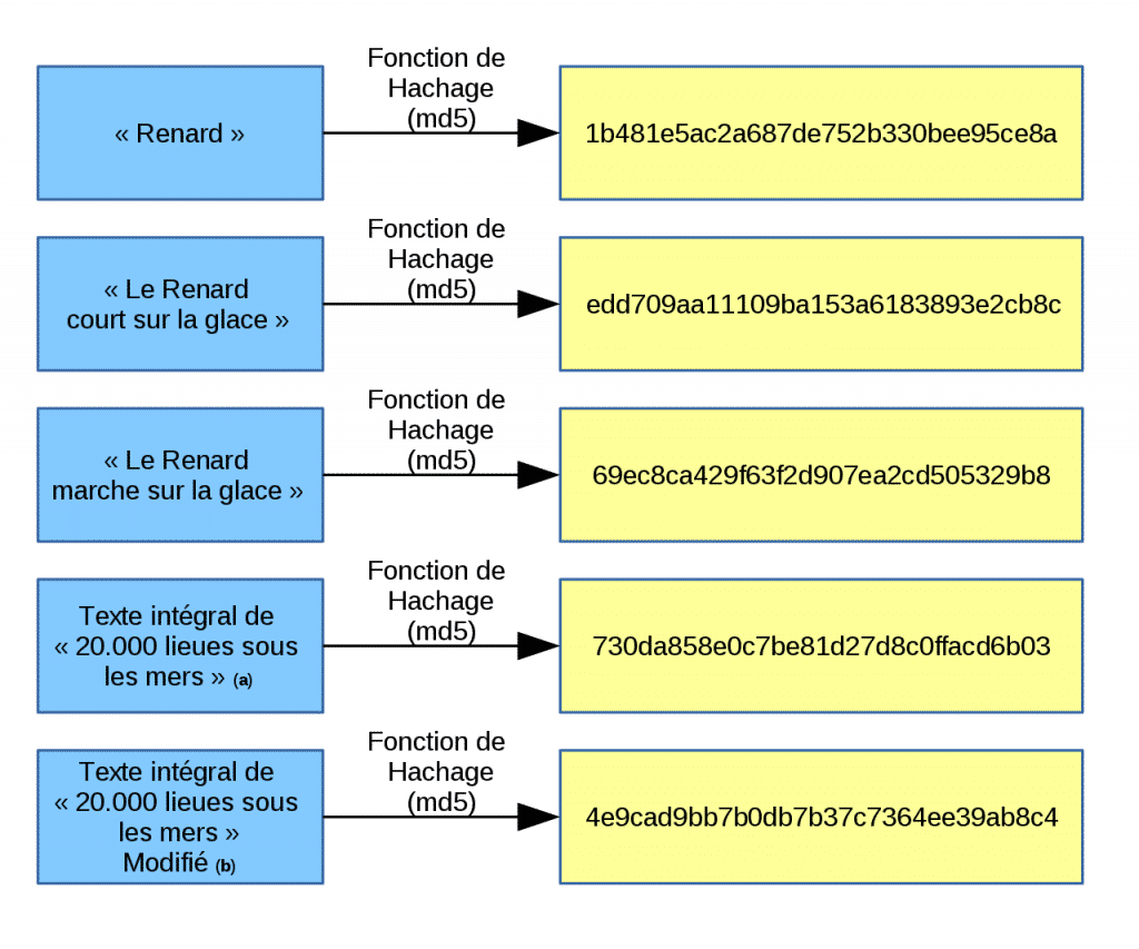 mots et phrases et hash