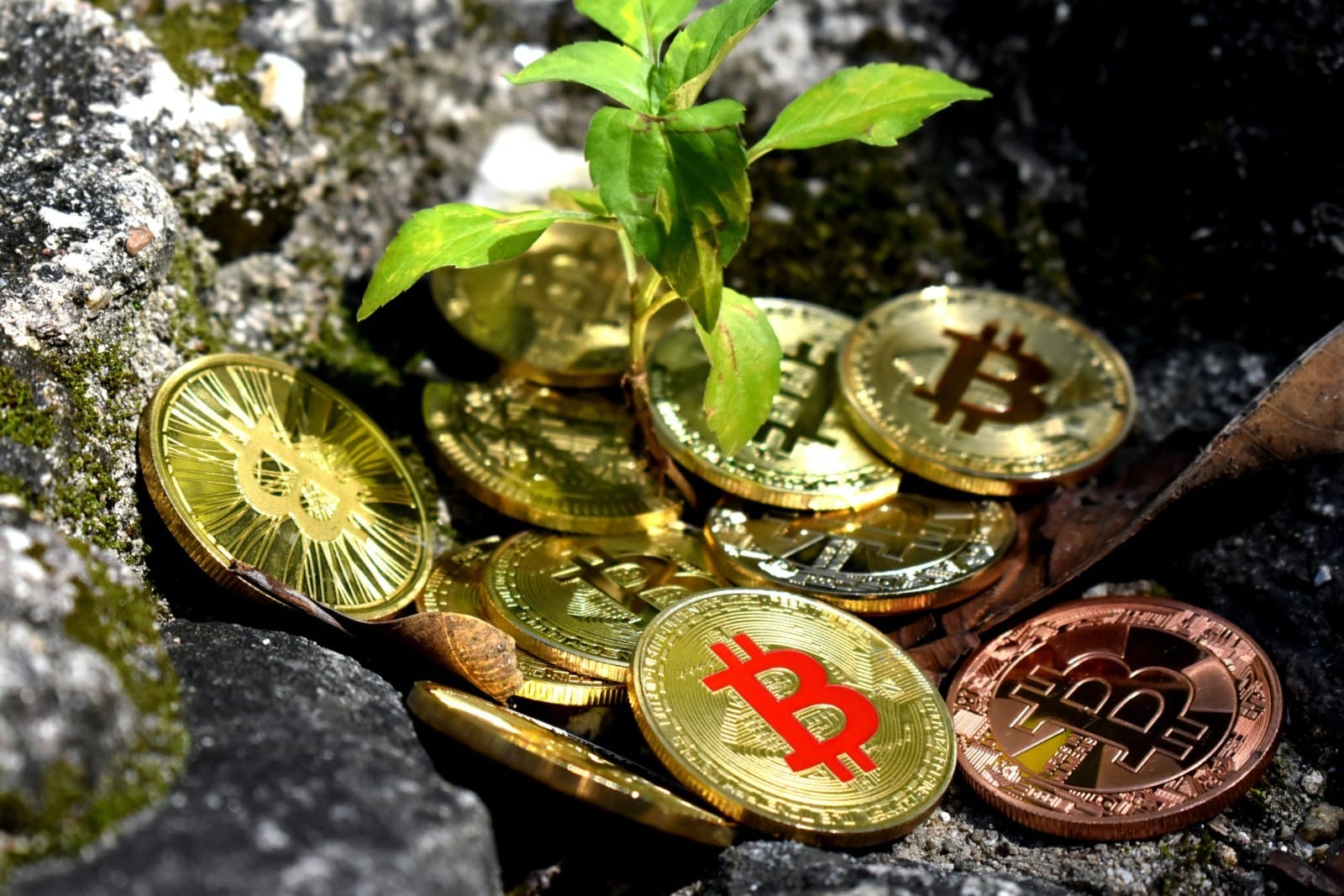 come è il valore di bitcoin determinato